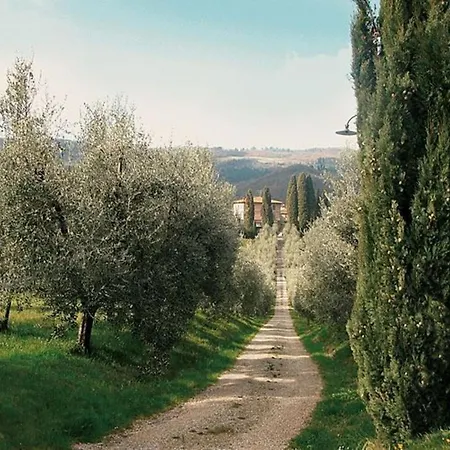 Cerchi * Scopeti