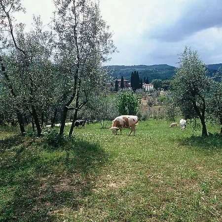 Cerchi Apartamento